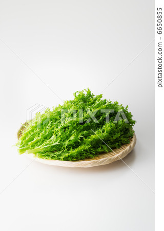 wasabi greens, raw vegetables, wasabi plant