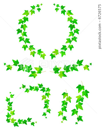 stock illustration: ivy, leaf, leafs