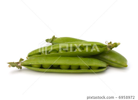 图库照片: fresh green pea pod