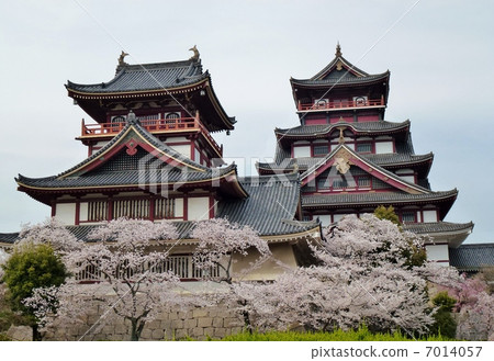 城堡 伏见桃山城 花朵