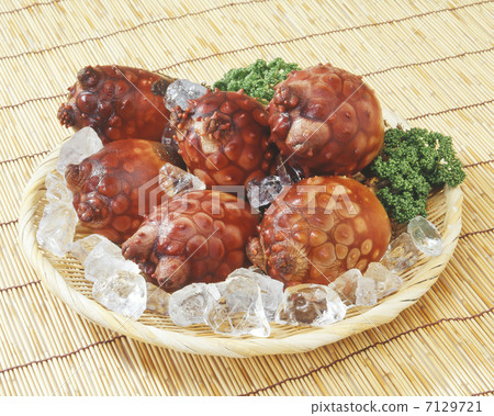 海鞘类动物 海鲜 新鲜