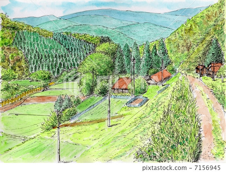 风景/自然 田地/稻田 稻田 插图 h归来 首页 插图 风景/自然 田地