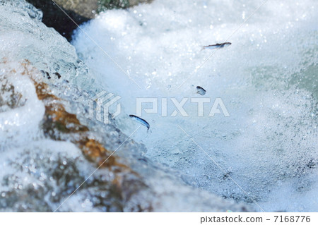 某人划船逆流而上,当船经过一桥时,穿上小木块