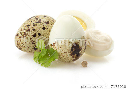 quail eggs on white