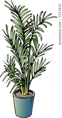 areca palm, fall leaves background, ginkgo leaf