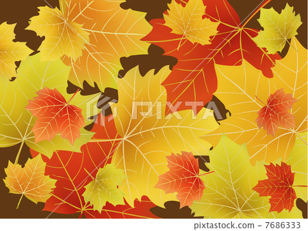 插图素材: beautiful autumn leaves