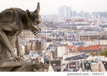 gargoyles, paris, france