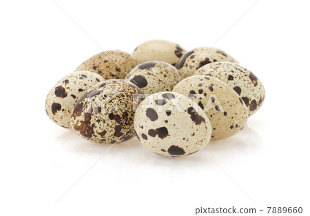 quail egg on white