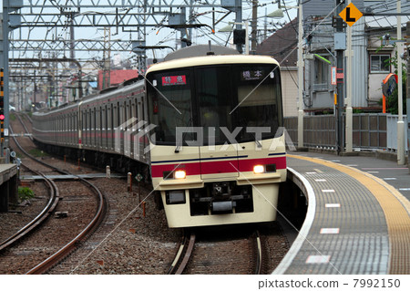 limited express train, keio railway, 8000 series