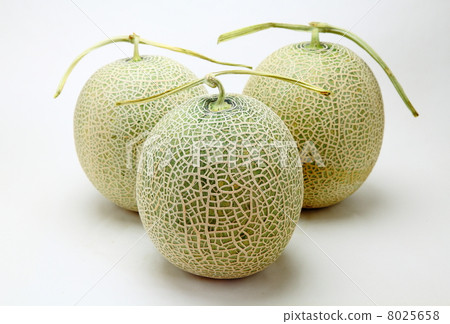 melon, muskmelon, nets