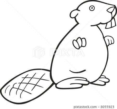 图库插图: beaver for coloring book