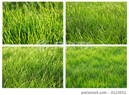 green grass set