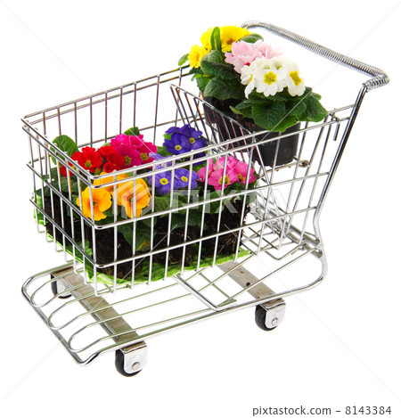 shopping cart with flowers