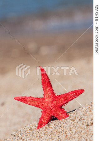 stock photo: red starfish