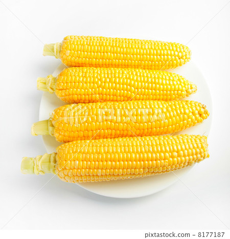 图库照片: corn cobs