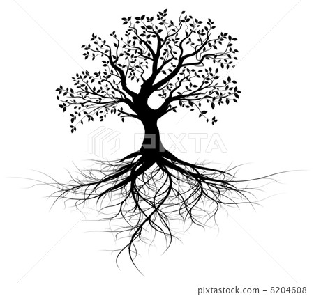 图库插图: vector silhouette, tree with roots