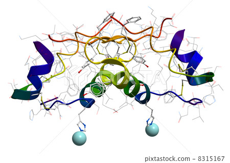 insulin molecular structure