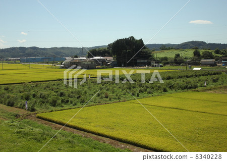 图库照片: 乡村风光 农村场景 乡村区