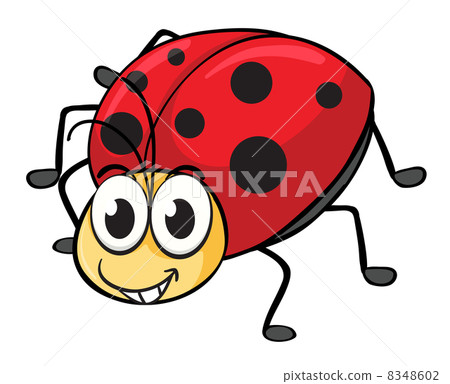 a ladybug