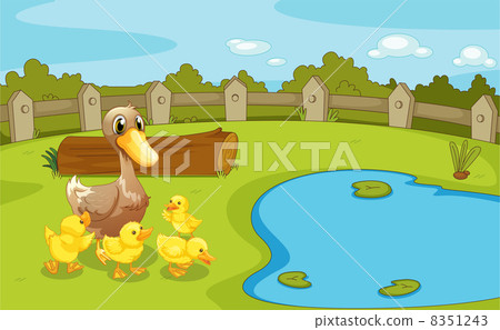 插图素材: ducks near the small pond