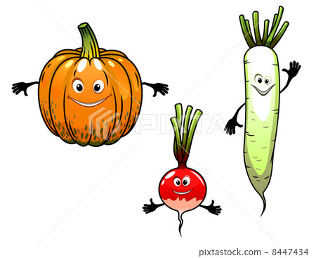 radish, turnip and pumpkin vegetables 8447434