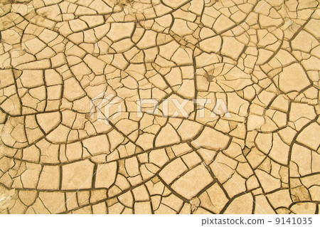 图库照片: cracked soil in the desert
