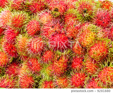 图库照片: red rambutan