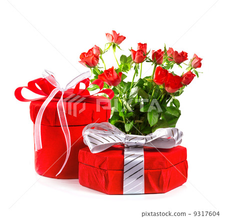 red gift with red bow and roses. isolate on white background