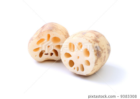 stock photo: lotus root