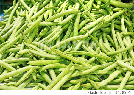 图库照片: many green beans (phaseolus vulgaris l.) on a pile