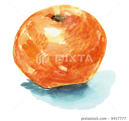 mandarin orange, pictorial, fruit