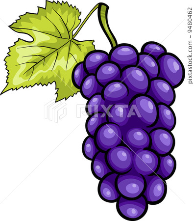 图库插图: blue grapes fruit cartoon illustration