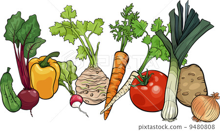 插图素材: vegetables big group cartoon illustration