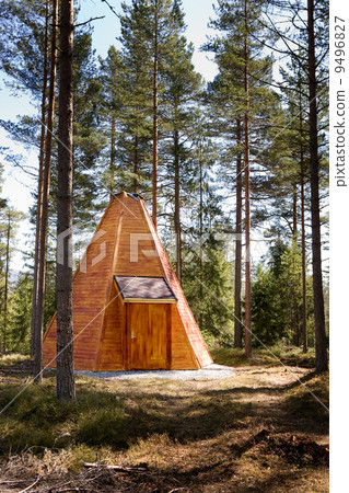 图库照片: teepee cabin in forest