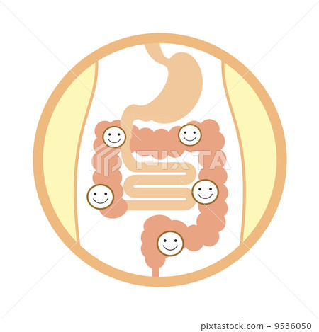 插图素材 肠内有益细菌 查看全部