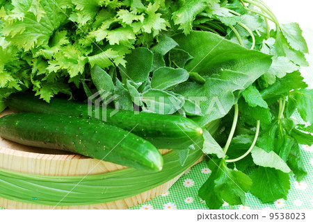 图库照片: 蔬菜 黄瓜 叶菜类图片