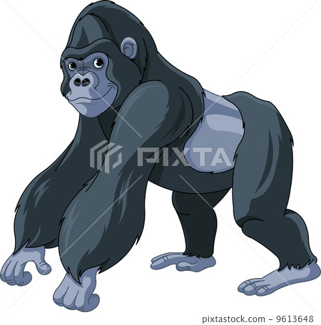 illustration : gorilla