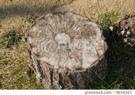 stubble, stump, grip