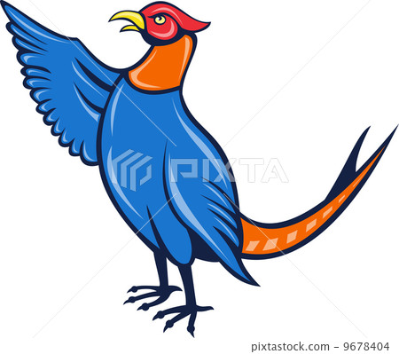 图库插图: cartoon pheasant bird pointing up