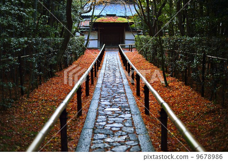 高桐院 大德寺 桑多