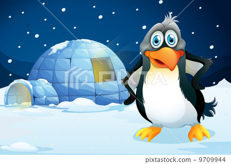 图库插图: a penguin standing near the igloo