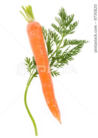 one carrot