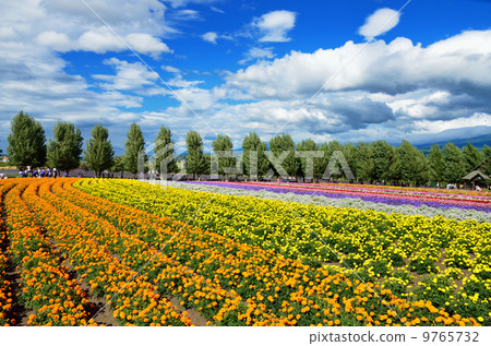 照片素材(图片 花园 田园 田园风景