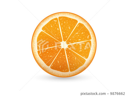 插图素材: sliced orange