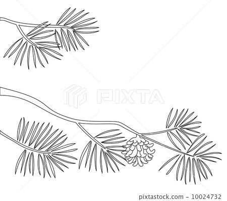 插图素材: pine branch, contours