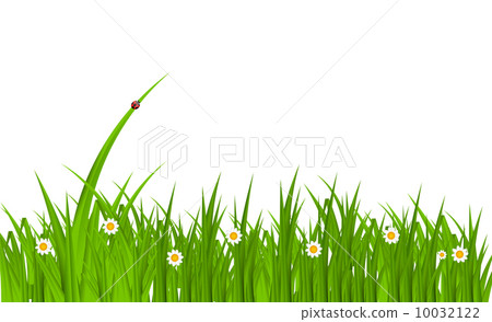 插图素材: summer abstract background with grass.