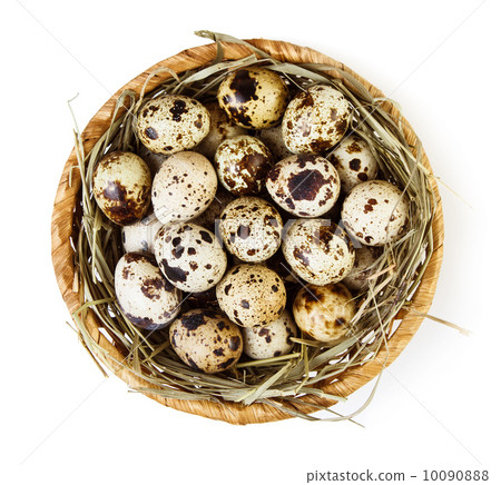 图库照片: quail eggs
