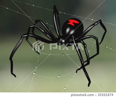 图库插图 black widow spider