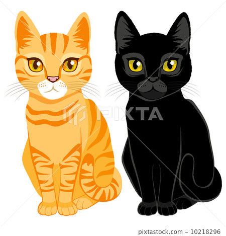 tabby and black cats