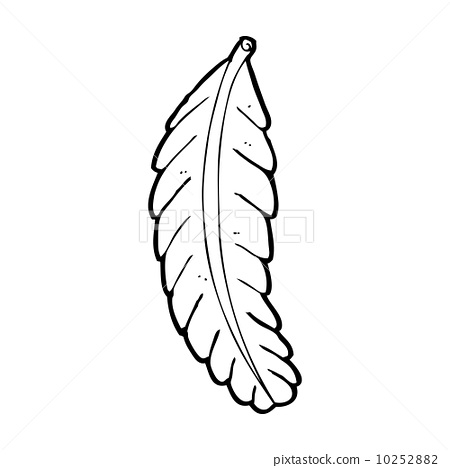 插图素材: cartoon feather